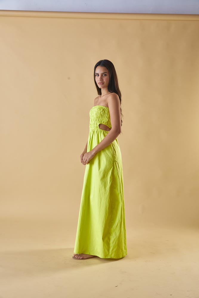 Aarya Long Dress