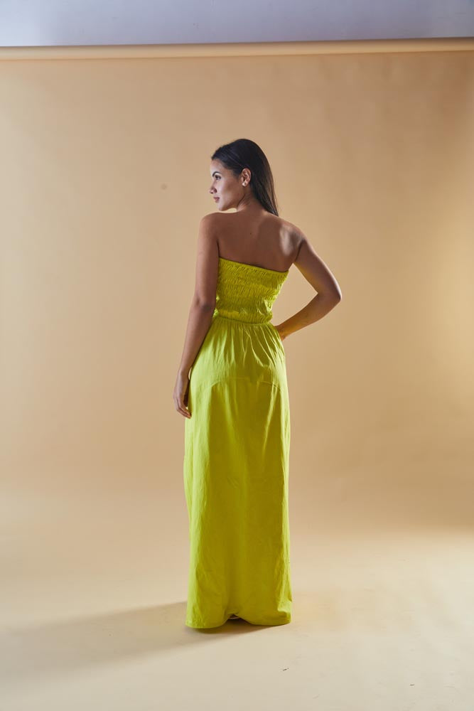 Aarya Long Dress